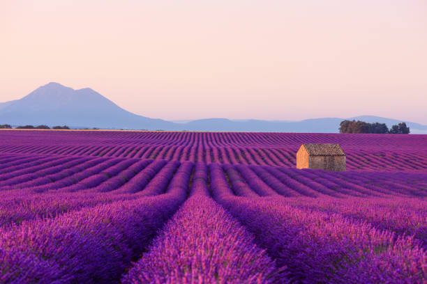 Patrimoine naturel et culturel en Provence