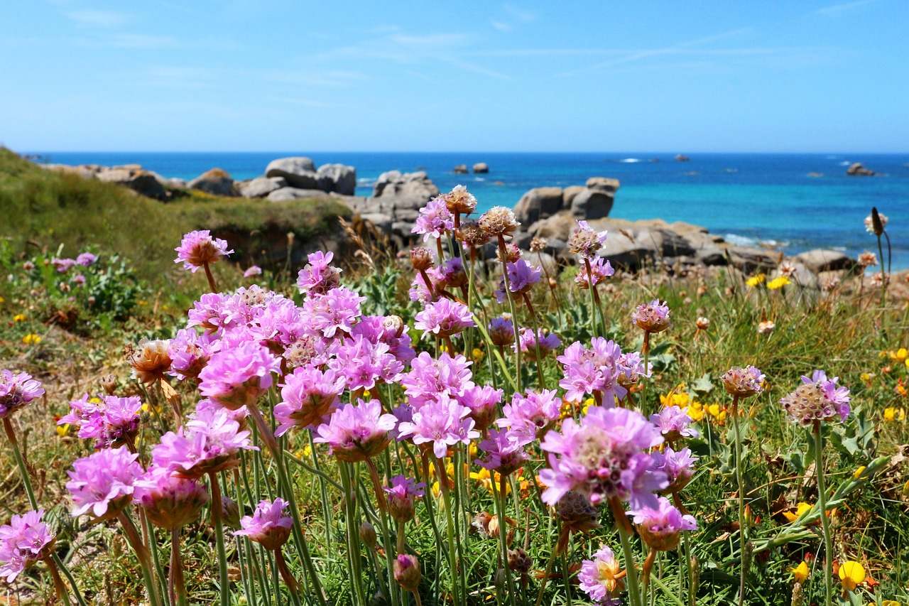 La Bretagne en toutes saisons : une destination d’exception toute l’année