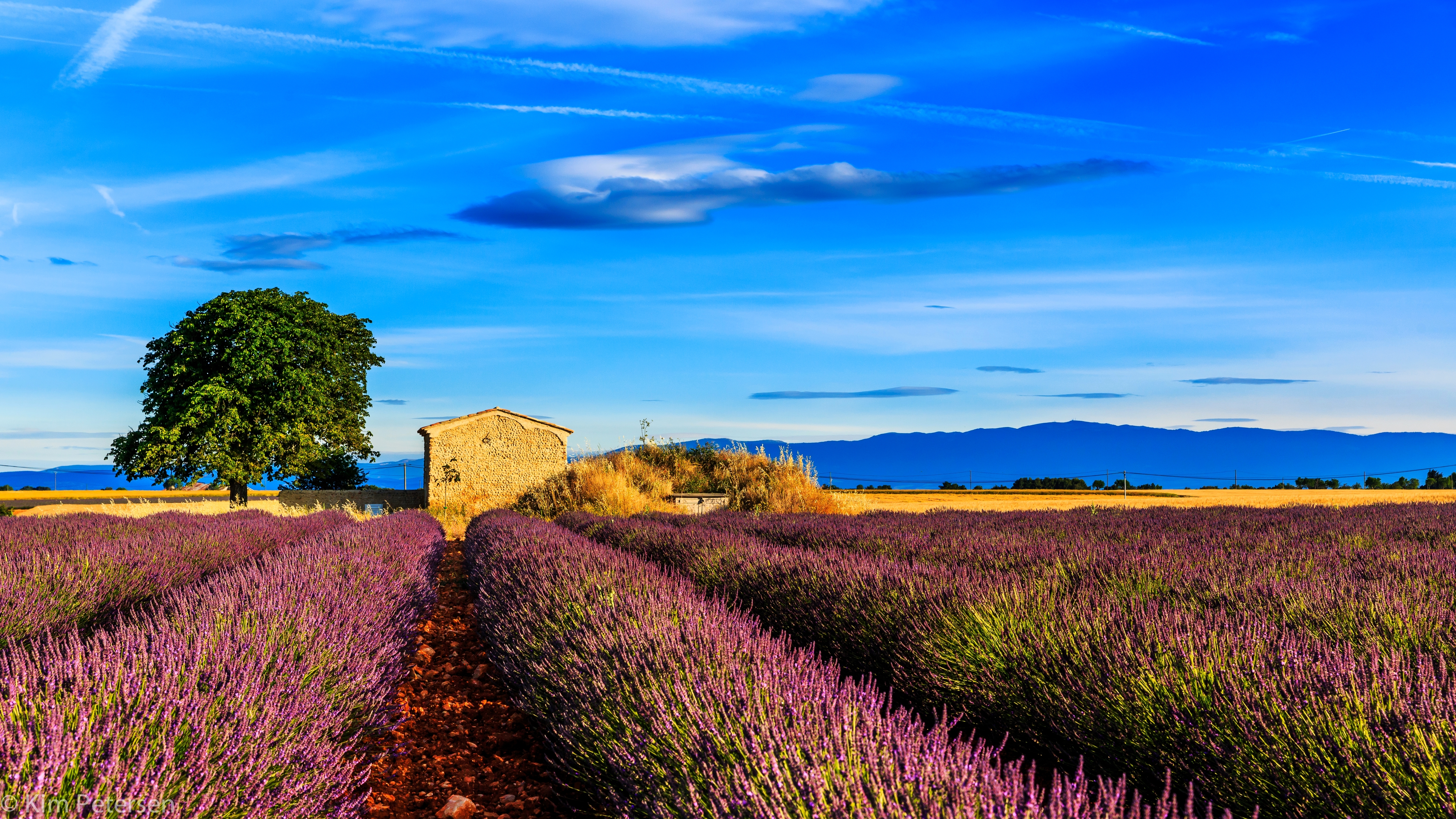 provence