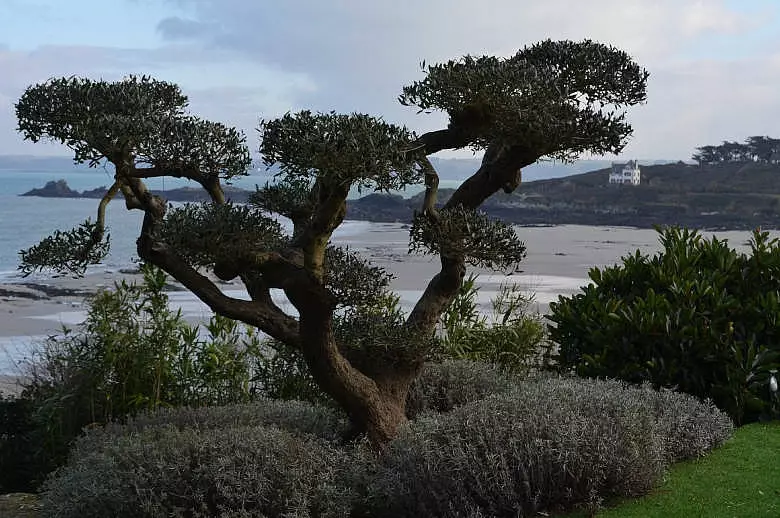 Brittany on the Beach - Luxury villa rental - Brittany and Normandy - ChicVillas - 27