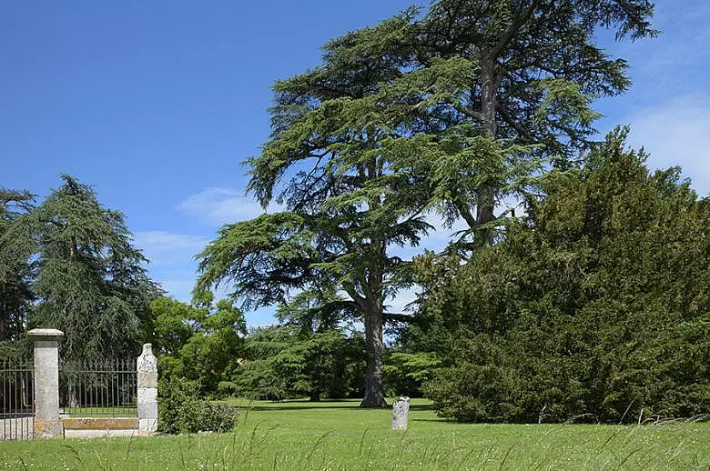 Chateau Les Hauts de Garonne - Luxury villa rental - Dordogne and South West France - ChicVillas - 25