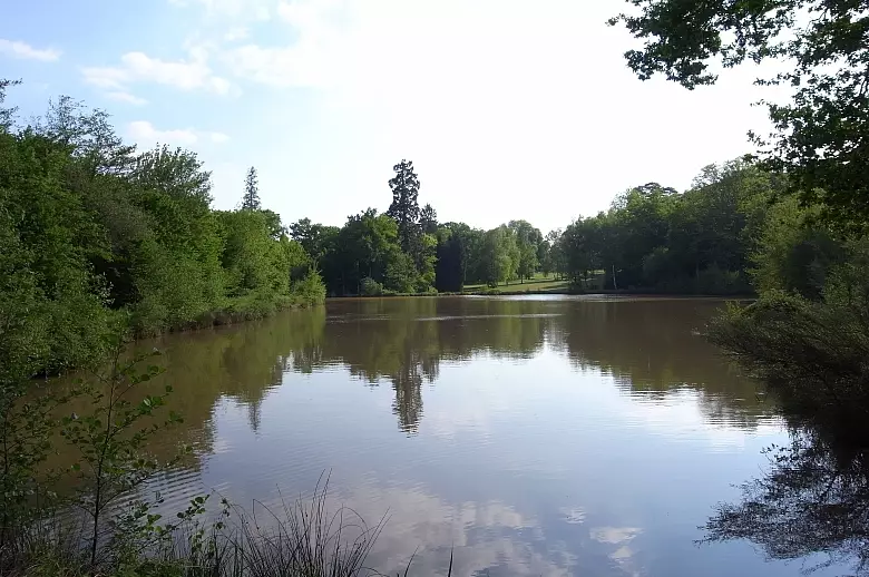 Entre Chambord et Sancerre - Luxury villa rental - Loire Valley - ChicVillas - 37