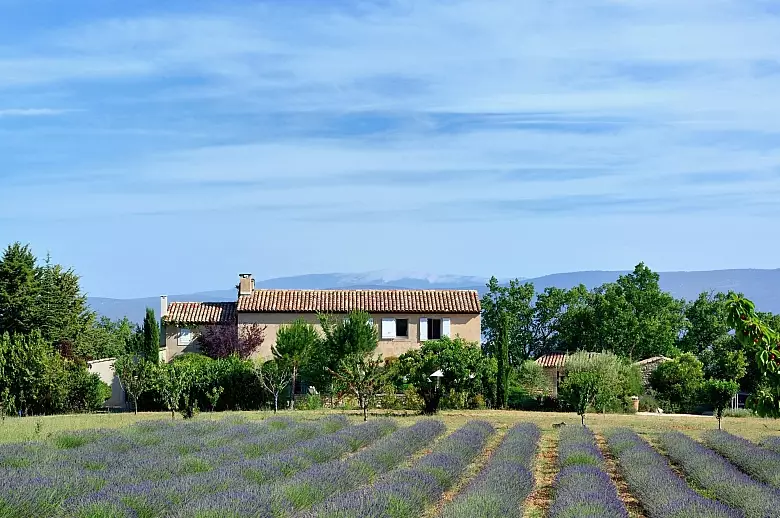 Lavandes du Luberon - Luxury villa rental - Provence and the Cote d Azur - ChicVillas - 27