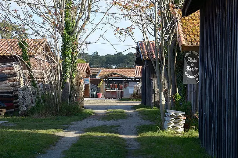 Sweet Little Cap-Ferret - Location villa de luxe - Aquitaine / Pays Basque - ChicVillas - 15